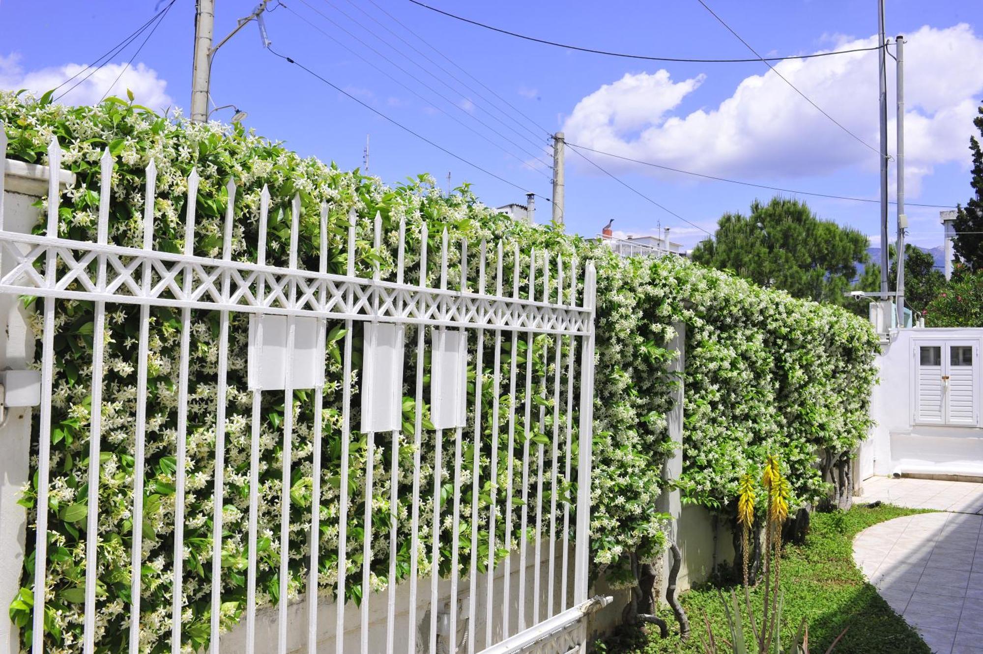 Peloponeese Corinthos Seaside Villa For Short Rent מראה חיצוני תמונה